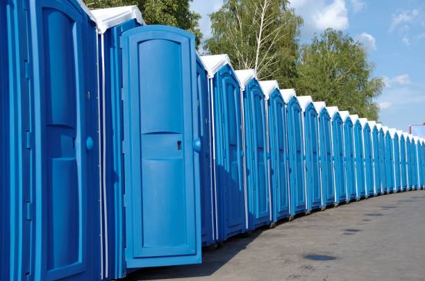 Best Sanitation services for porta potties  in St Joseph, MI